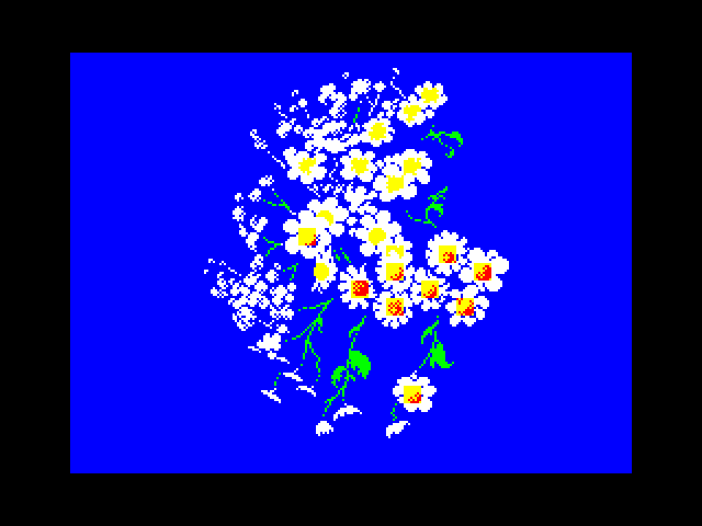 Daisies by helpcomputer0 2021